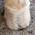 Hoof Cracks and the Correct Method of Repair